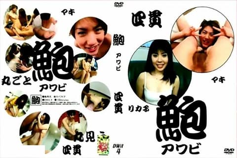 Abalone Amateur 4 DS-DWA4