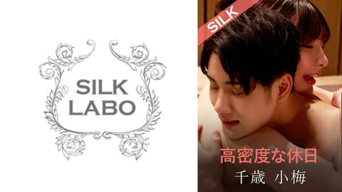 220SILKS-107 高密度假期