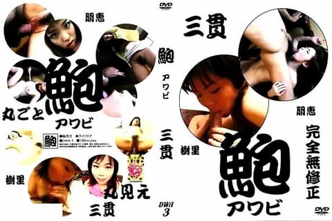 Abalone Amateur 3 DS-DWA3