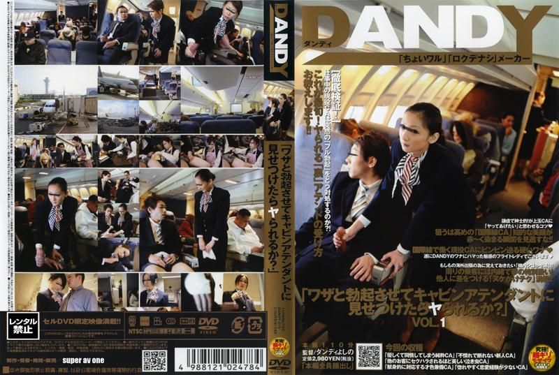 "If I deliberately get an erection and show it to the flight attendant, will she have sex with me?" DANDY-079
