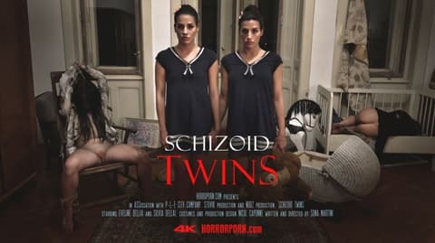 Schizophrenic twins