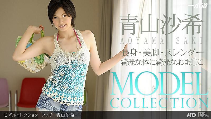 Model Selection POP - Saki Aoyama