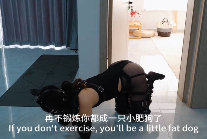 【Raymond】Puppy Training - High-Intensity Techniques and Physical Fitness Training from the First Time