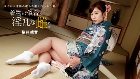 Super hot and lewd woman in a kimono, Sakurai Ayane 1pondo_010822_001
