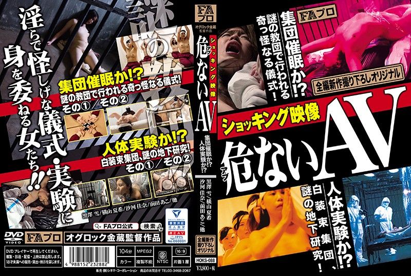 令人震惊的映像 危险AV HOKS-088