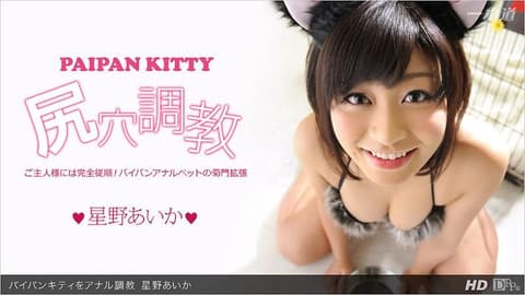 White Tiger Tender Pussy Kitten Anal Training _1pondo_013113_523